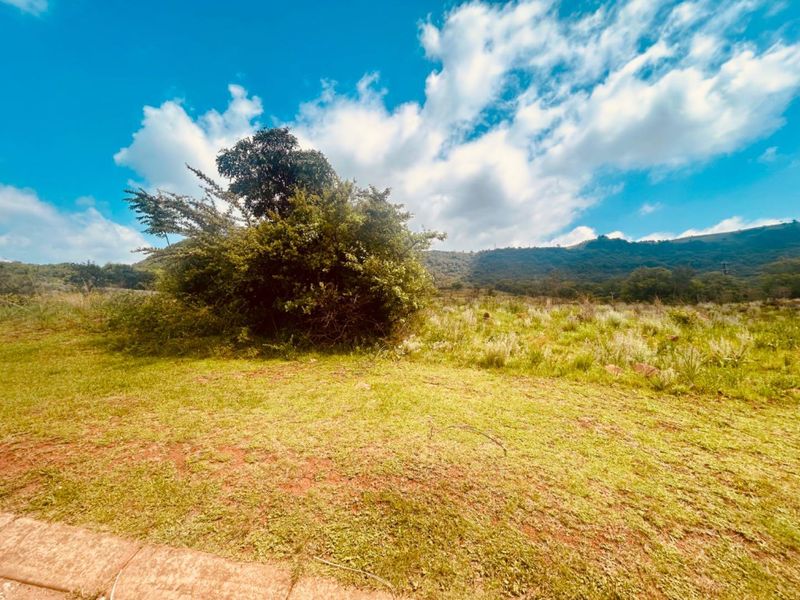 Vacant site for sale on Lancaster hill - Photo 6