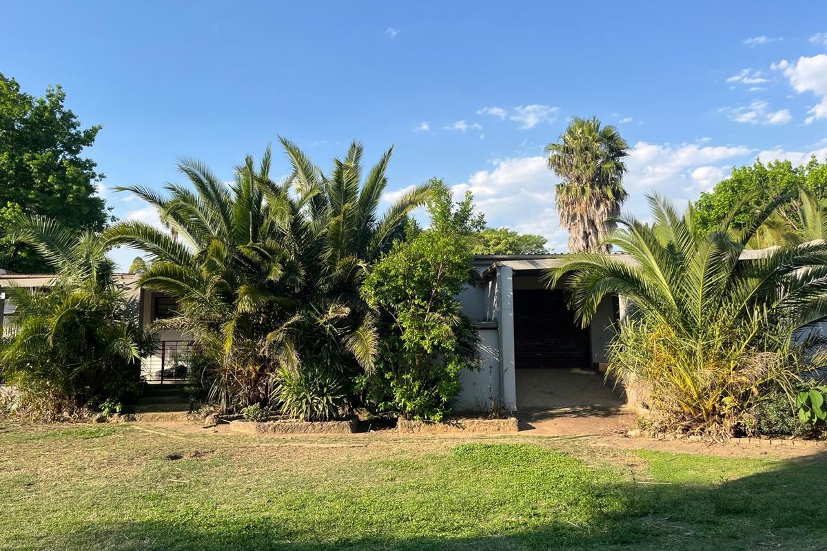 Rear view of the property featuring a garage, concrete driveway, and established garden area with mature palm trees.