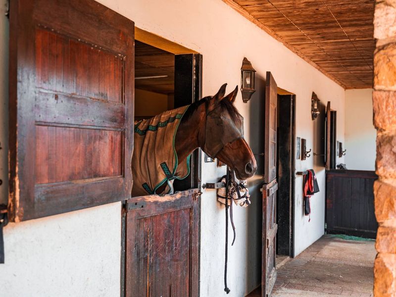 3 Bedroom Luxury Modern Home in Alverstone Equestrian Estate - Photo 7