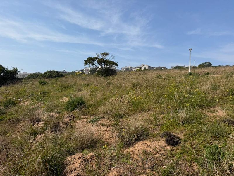 A view of a vacant residential plot featuring natural vegetation and existing street lighting infrastructure.