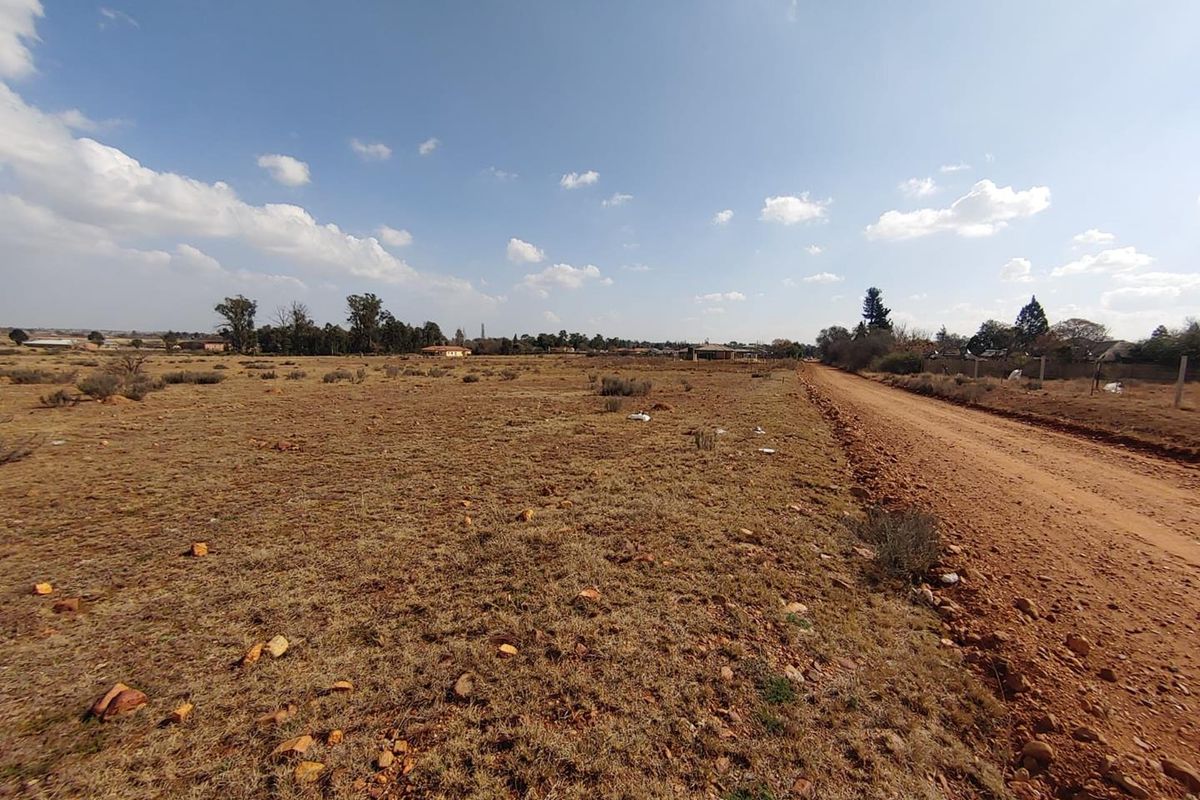A wide-angle view of a vacant residential plot adjacent to an unpaved dirt road in a rural or semi-rural setting.