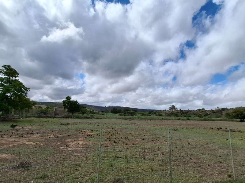 Level Land with Approved Plans: Your Next Big Venture Awaits! - Photo 3