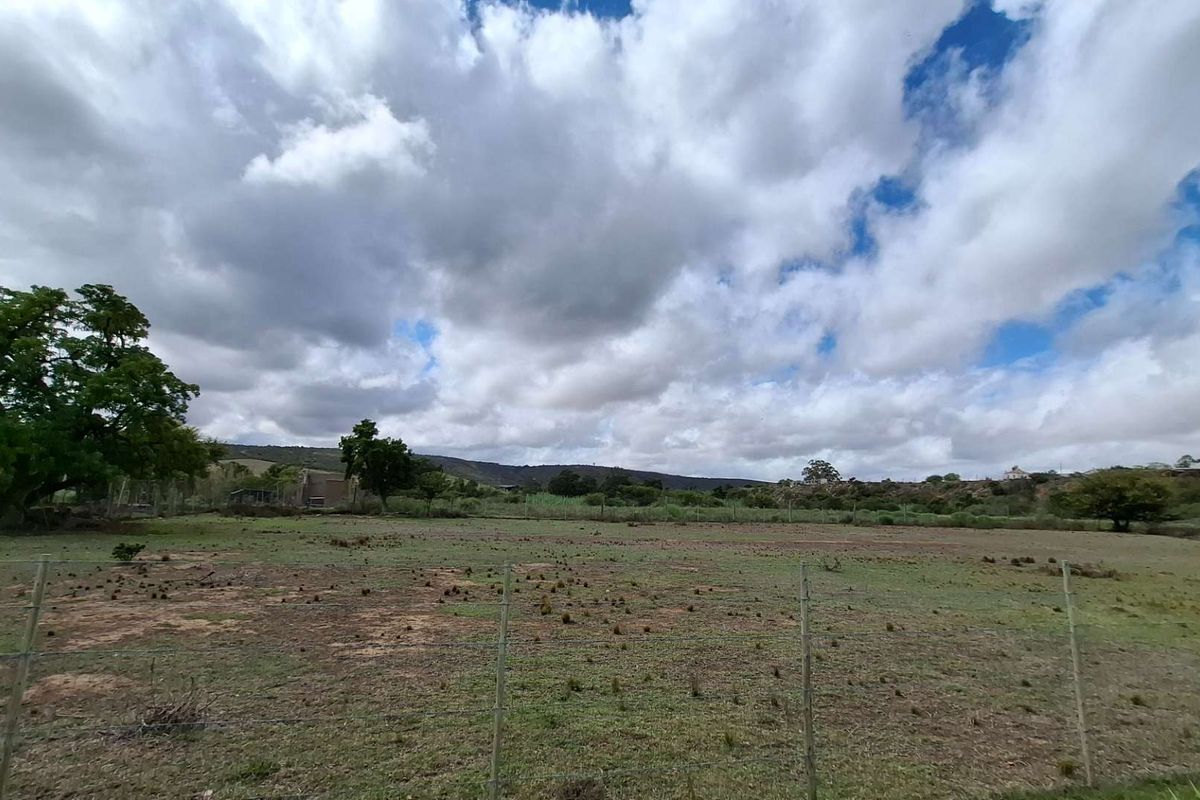 Level Land with Approved Plans: Your Next Big Venture Awaits! - Photo 3