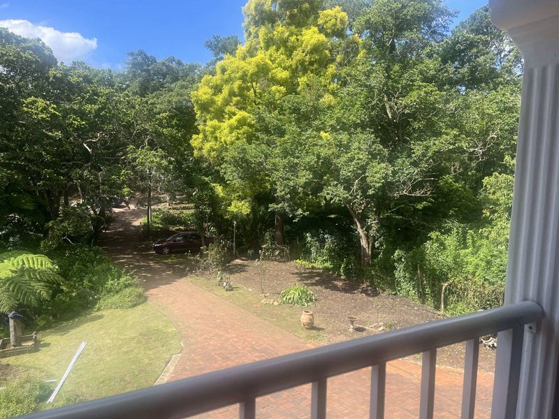 Charming Studio Apartment in Kloof - Photo 5