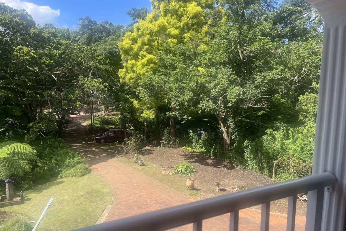 Charming Studio Apartment in Kloof - Photo 5