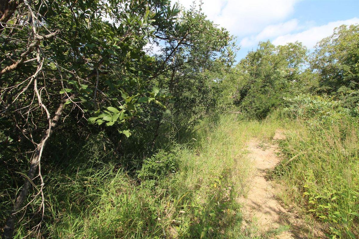 A view of the natural, undeveloped landscape featuring dense native vegetation and a small dirt path on the residential property.
