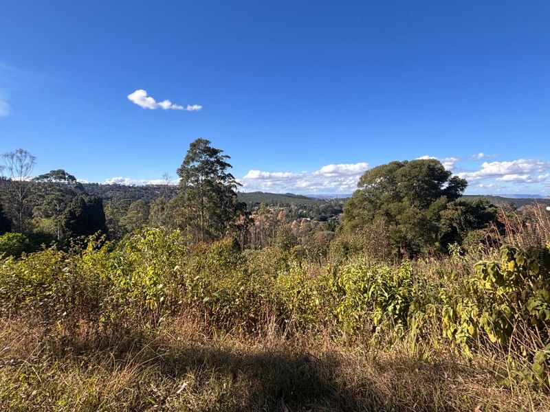 A scenic view overlooking a natural landscape with mature trees and rolling hills under a clear blue sky.