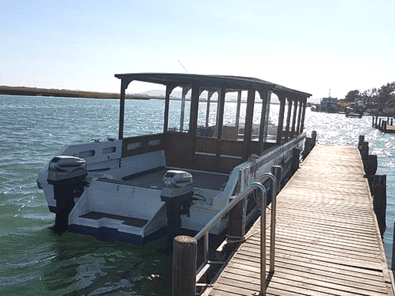 A wooden jetty extending into the water with a metal handrail, providing access to a docked boat.