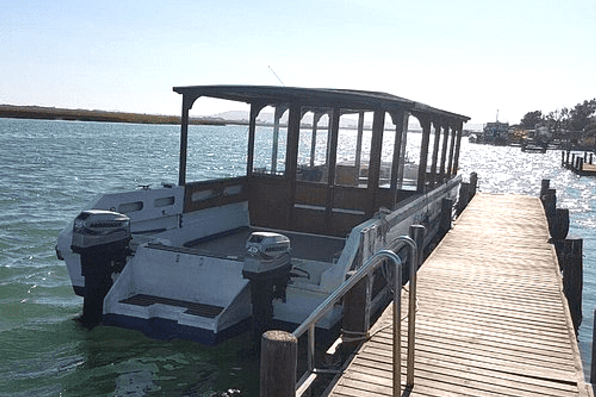 A wooden jetty extending into the water with a metal handrail, providing access to a docked boat.