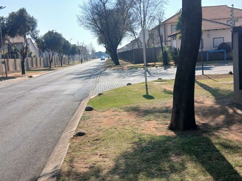 A view of the residential street and surrounding neighborhood infrastructure, showing paved roads, perimeter walls, and established landscaping.