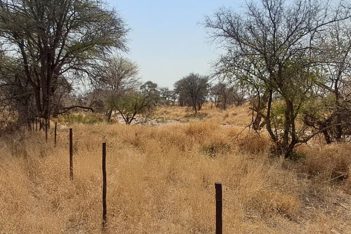 FOR SALE – Farm Plot, Far Osona Commonage (Okahandja) - Photo 4