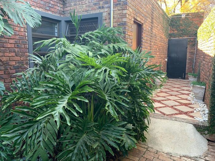 Property #2362439, Apartment Rental Monthly in Rietfontein