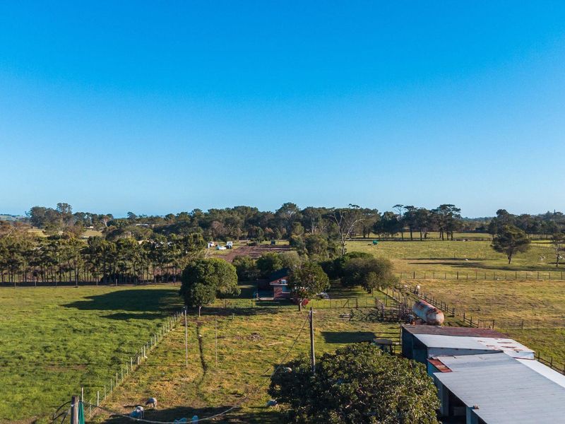 Rare Income-Generating Lifestyle Smallholding:2 Homes & Business Potential – Rendallton, Near Gqeberha - Photo 5