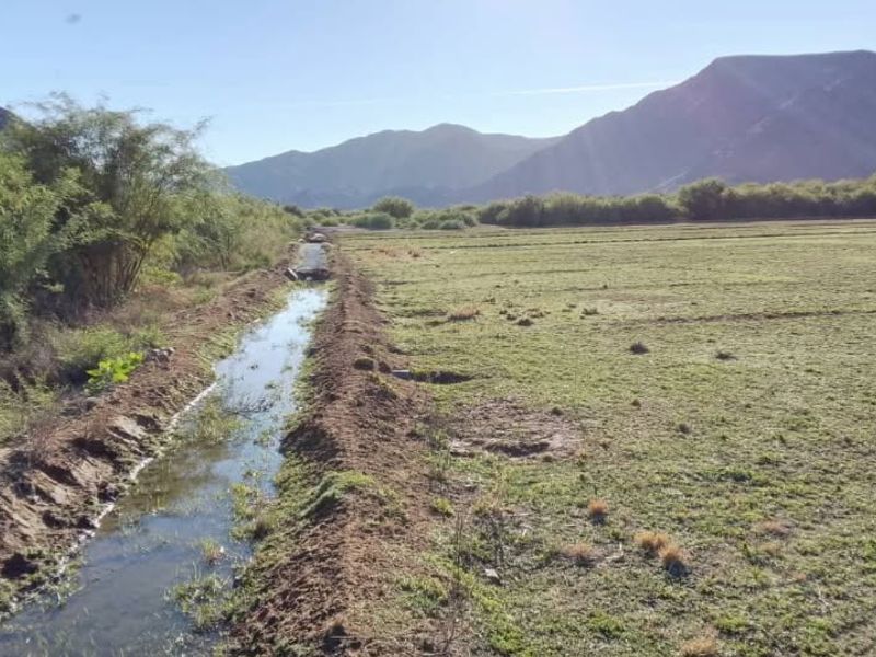 Irrigation plot located near Noordoewer with canal water available. - Photo 9