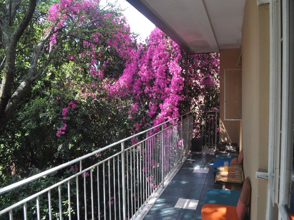 Spacious patio overlooking the pool and garden