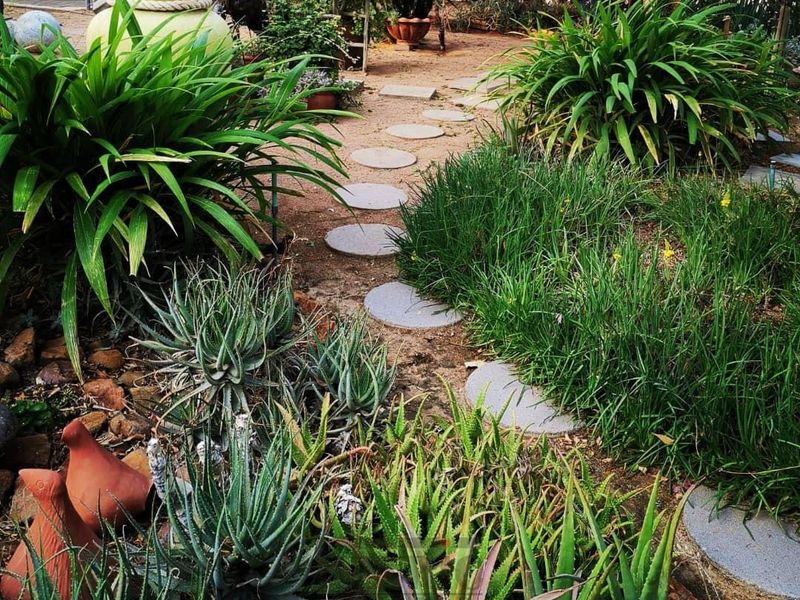 A landscaped garden area featuring a winding stepping stone path through established greenery and succulent plantings.