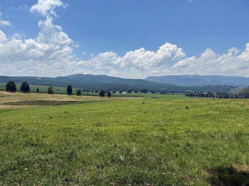 20ha Timber Farm in Karkloof with Valley and Farmland Views - Photo 9