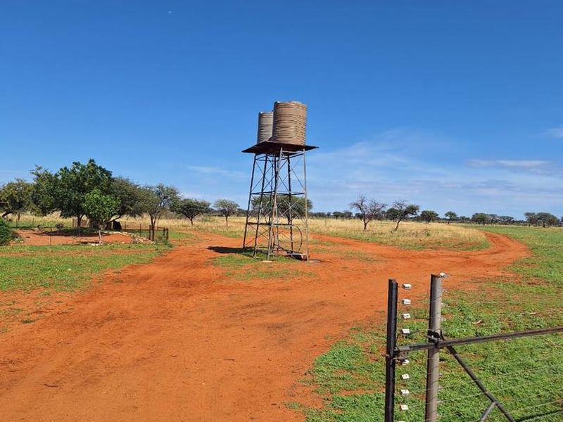 Cattle & Game Farm in the Hochfeld area. - Photo 2