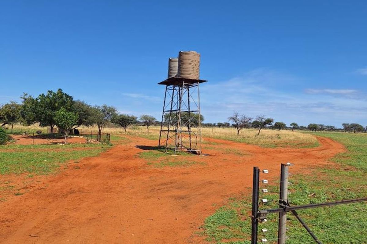 Cattle & Game Farm in the Hochfeld area. - Photo 2