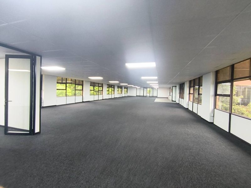 A spacious, open-plan office area featuring neutral carpeting, suspended ceilings with recessed lighting, and large windows providing ample natural light.
