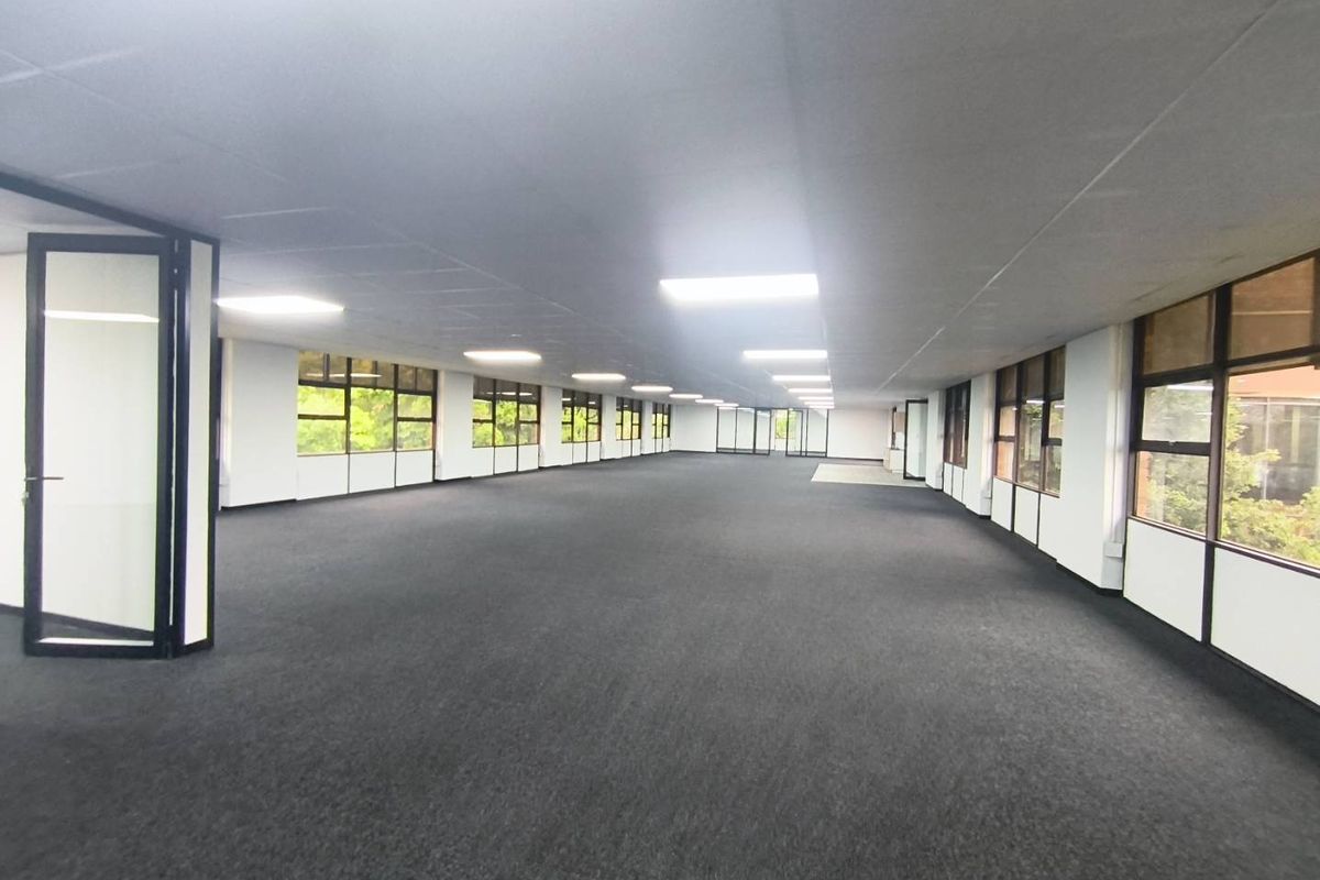 A spacious, open-plan office area featuring neutral carpeting, suspended ceilings with recessed lighting, and large windows providing ample natural light.