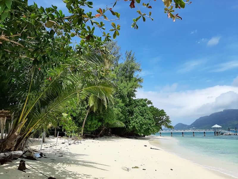 Virgin Beachfront land Cerf Island - Photo 3