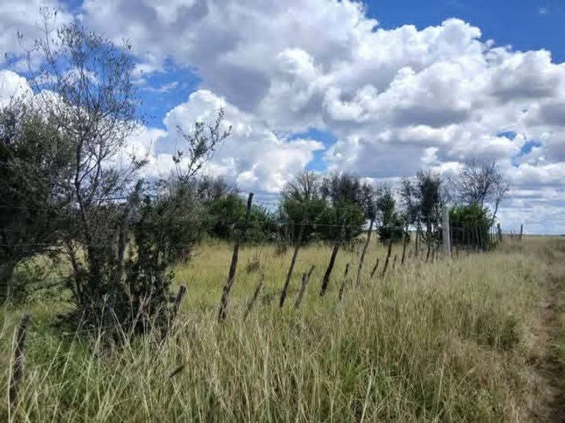 A view of an agricultural plot featuring natural grassland, mature trees, and existing wire fencing with wooden posts.