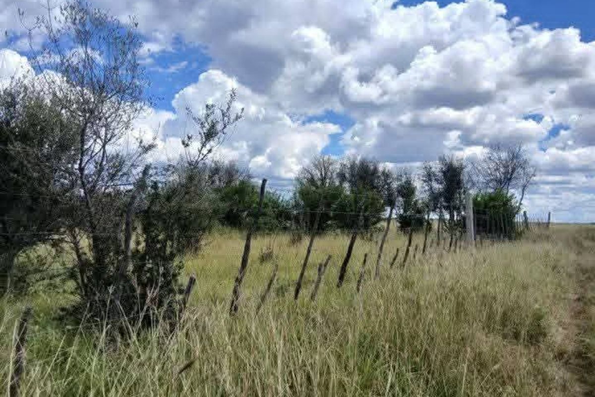 A view of an agricultural plot featuring natural grassland, mature trees, and existing wire fencing with wooden posts.