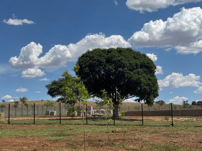 A view of the vacant agricultural land featuring established trees and perimeter fencing under a clear blue sky.