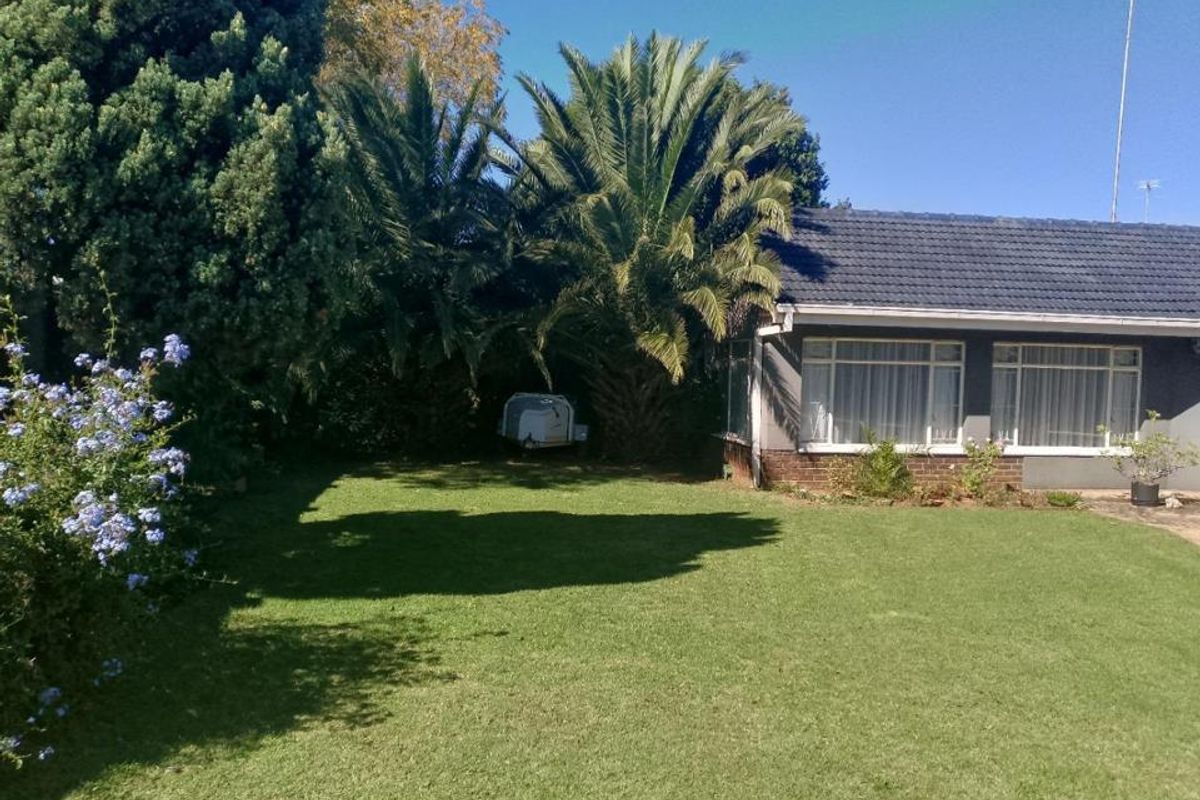 A well-maintained rear garden featuring a lush lawn, mature palm trees, and a view of the house's rear exterior elevation.