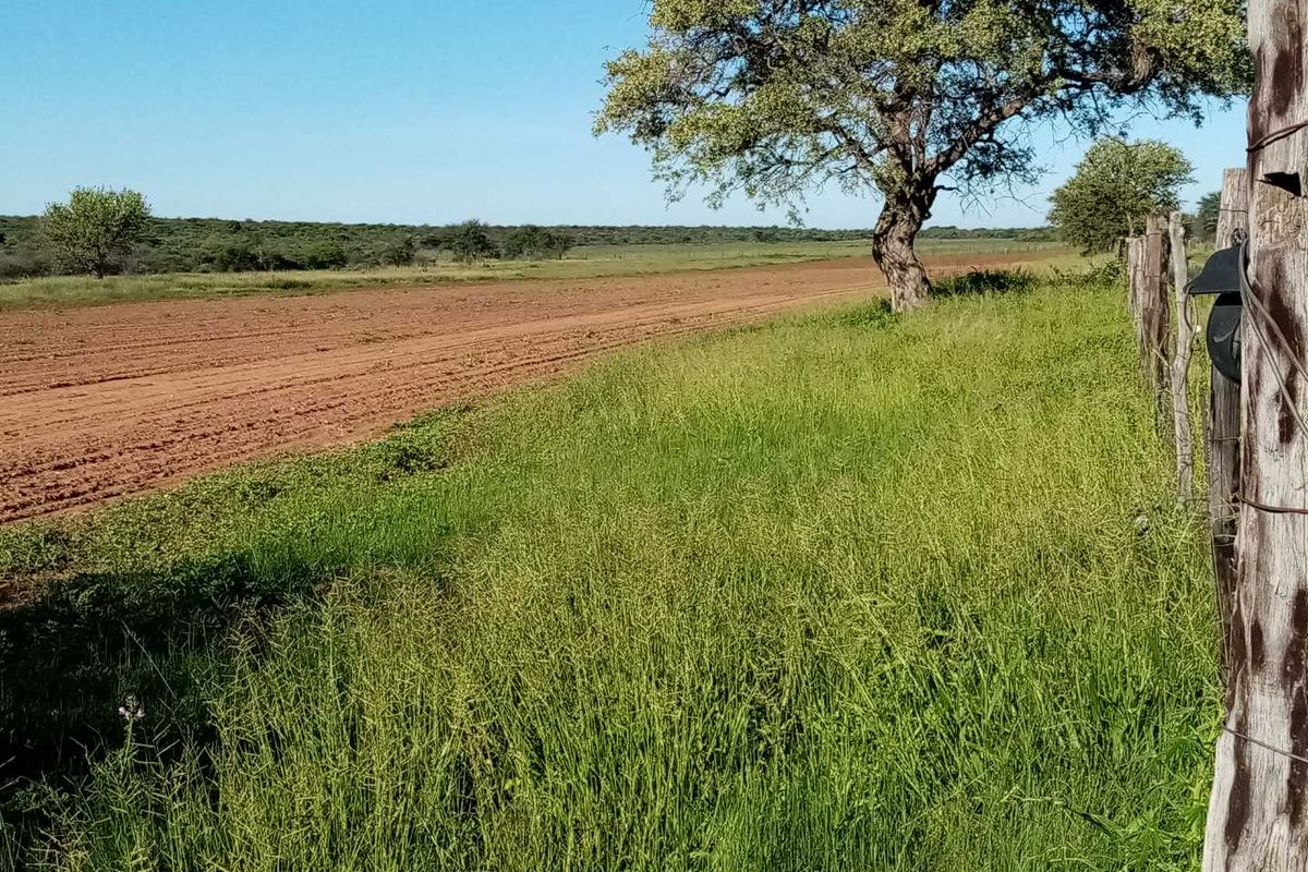 Otavi Agriculture Small Holding Plots - For Sale Now - Photo 3