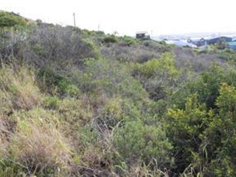 3968m2 Industrial Land for Sale in Diaz Industrial - Photo 5