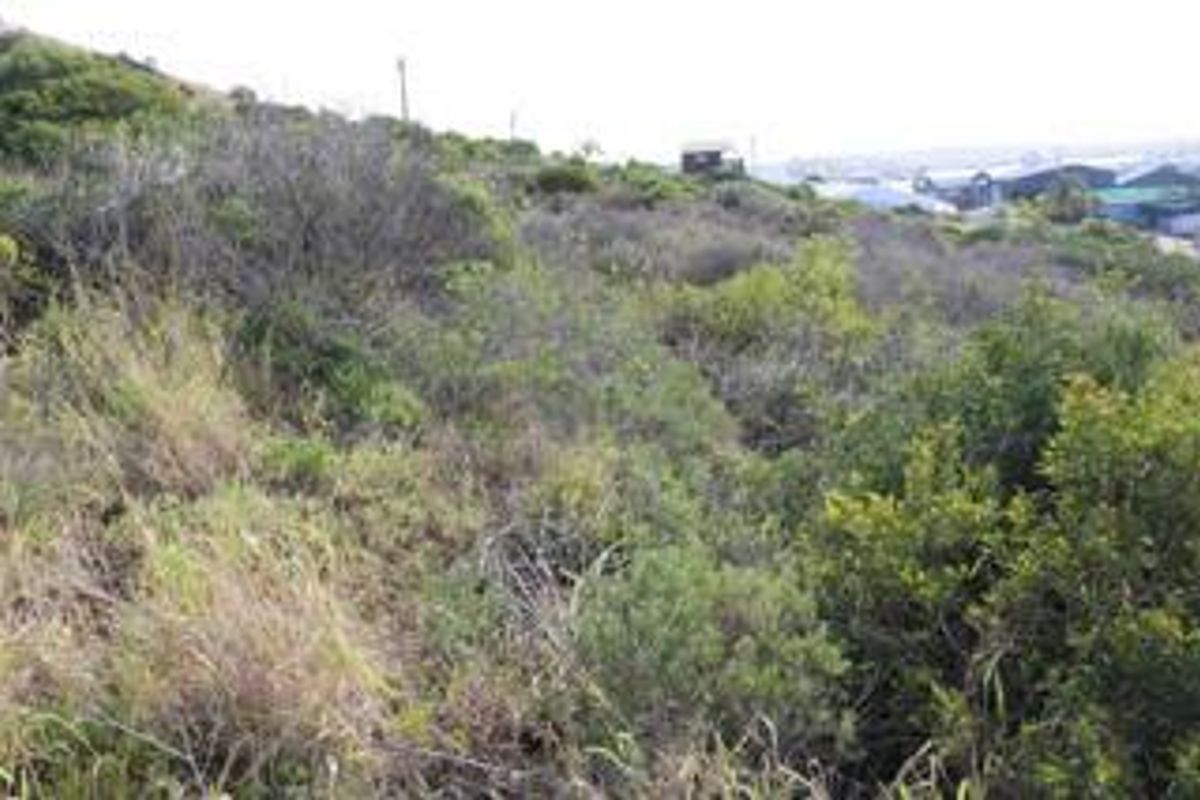 3968m2 Industrial Land for Sale in Diaz Industrial - Photo 5