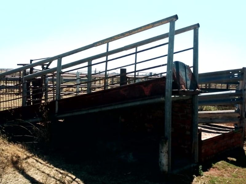 GAME AND CATTLE FARM.INEXHAUSTIBLE WATER.GAME FENCING WIRE.ALSO PLOWLANDS. - Photo 5