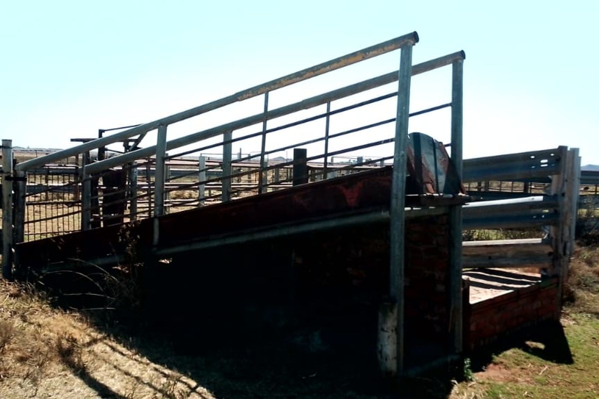 GAME AND CATTLE FARM.INEXHAUSTIBLE WATER.GAME FENCING WIRE.ALSO PLOWLANDS. - Photo 5