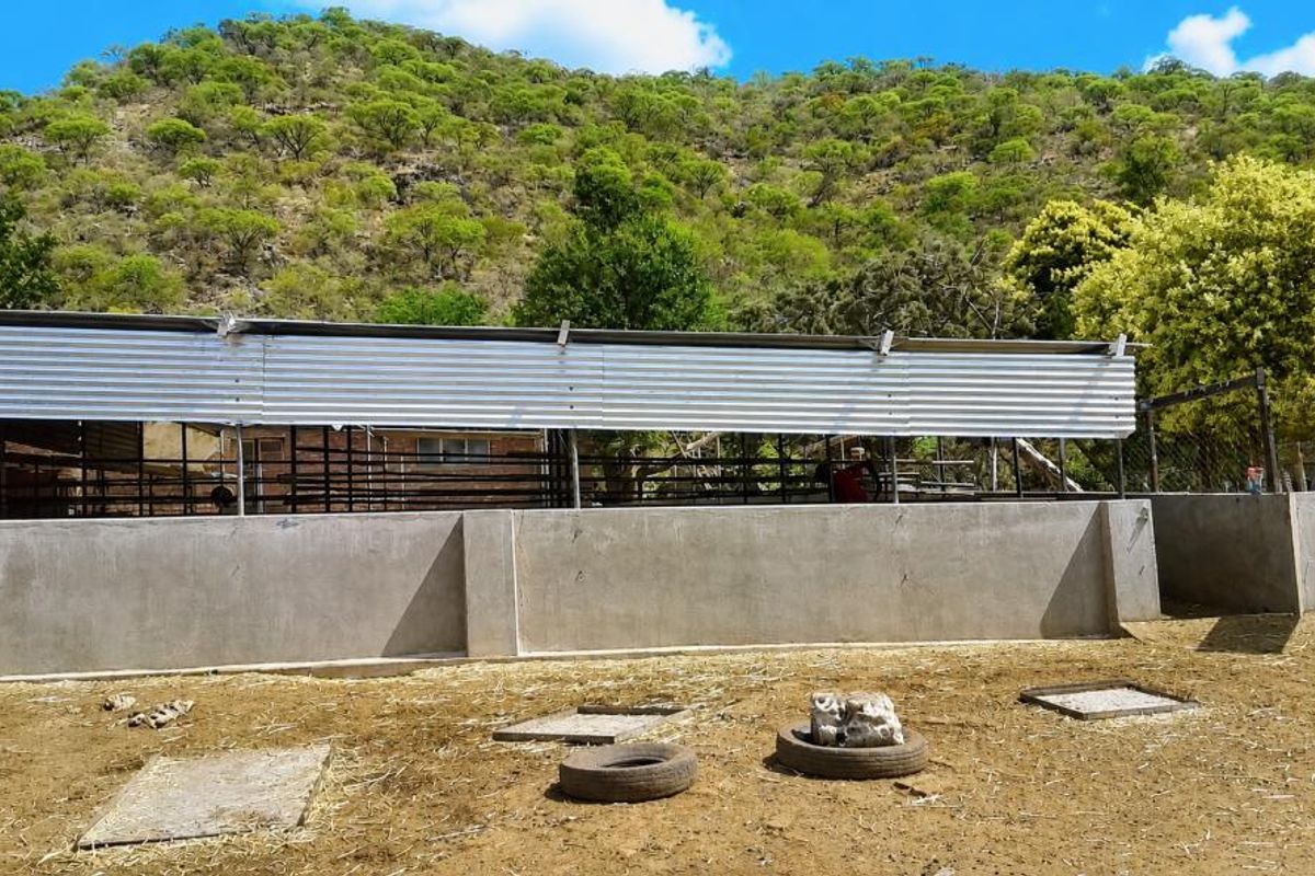 An outdoor livestock enclosure featuring a concrete perimeter wall, metal fencing, and a corrugated metal roof structure set against a natural mountain landscape.