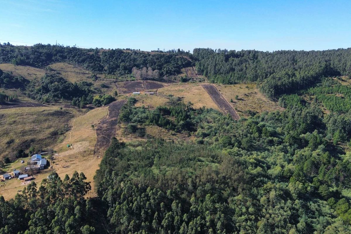 An aerial view of the expansive farm property, showcasing rolling hills, dense forest sections, and open land with existing farmstead buildings.