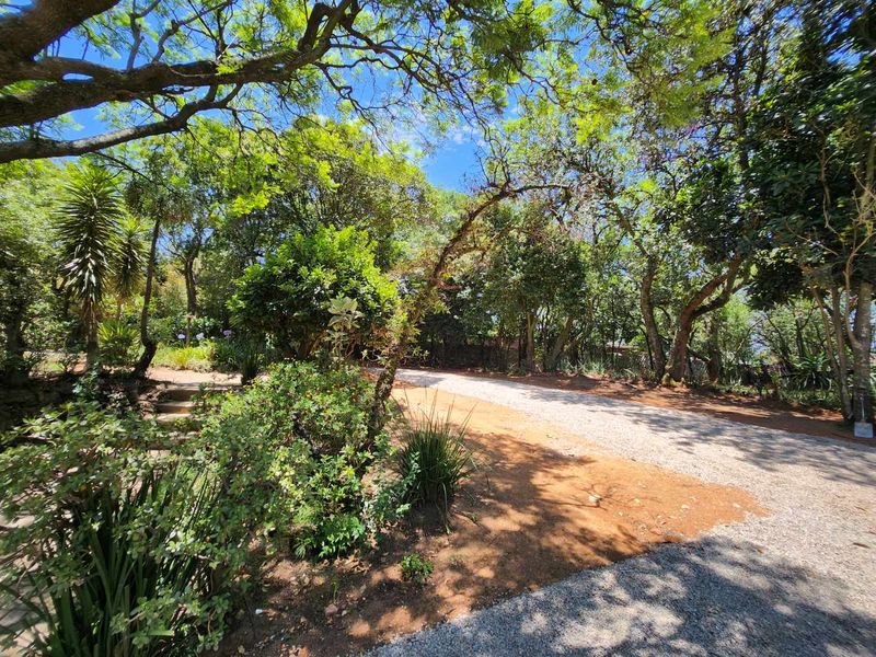 A lush, tree-lined garden area featuring a gravel driveway and stone steps leading through the landscaped outdoor space.