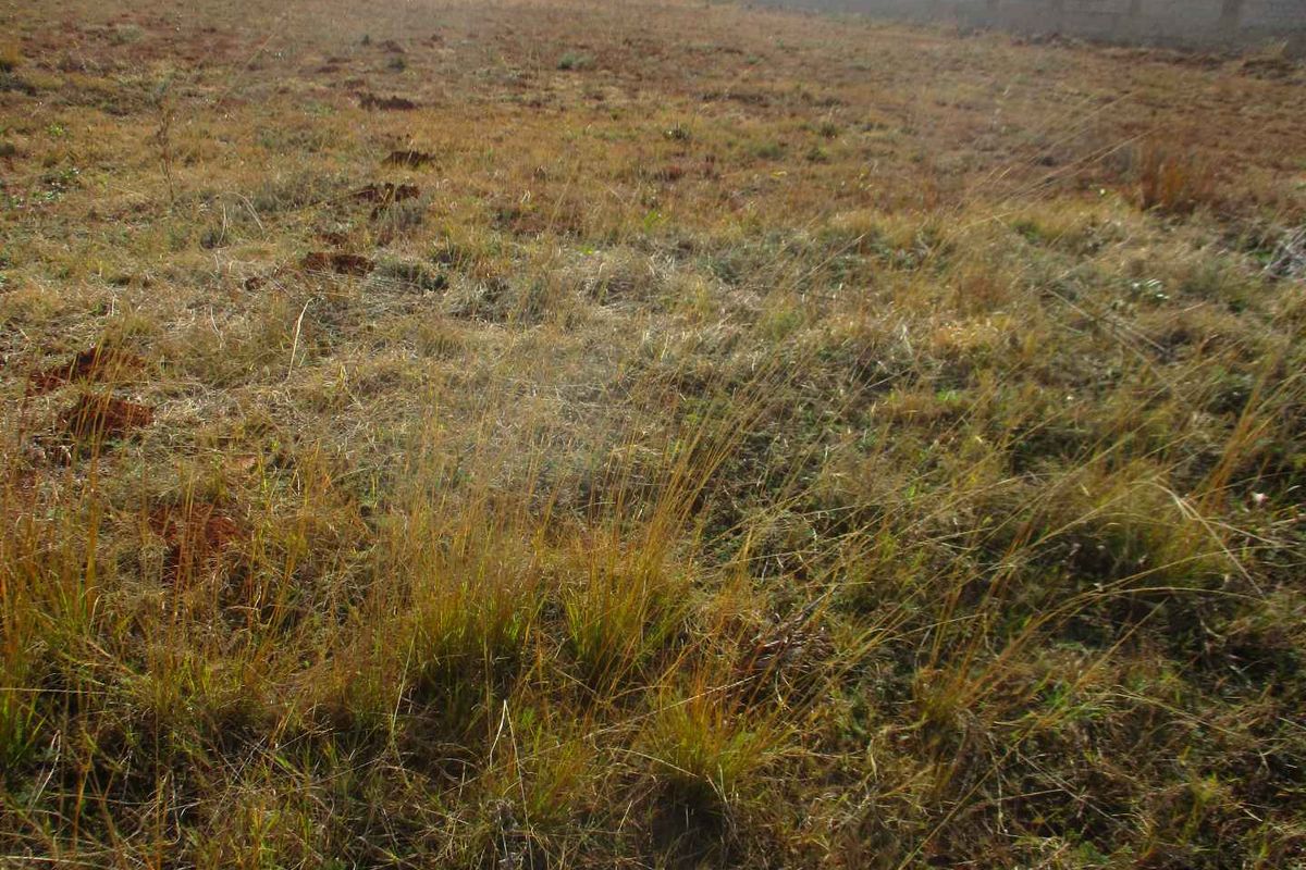 GOOD LOCATION VACANT LAND HIGHBURY MIDVAAL - Photo 2
