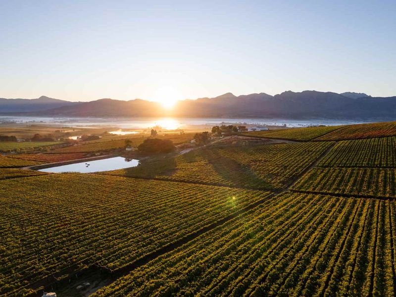 Secure Country Living on a Spacious Stand - Photo 6