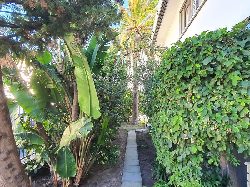 A narrow garden pathway flanked by mature trees and lush greenery, providing a private outdoor walkway along the side of the property.