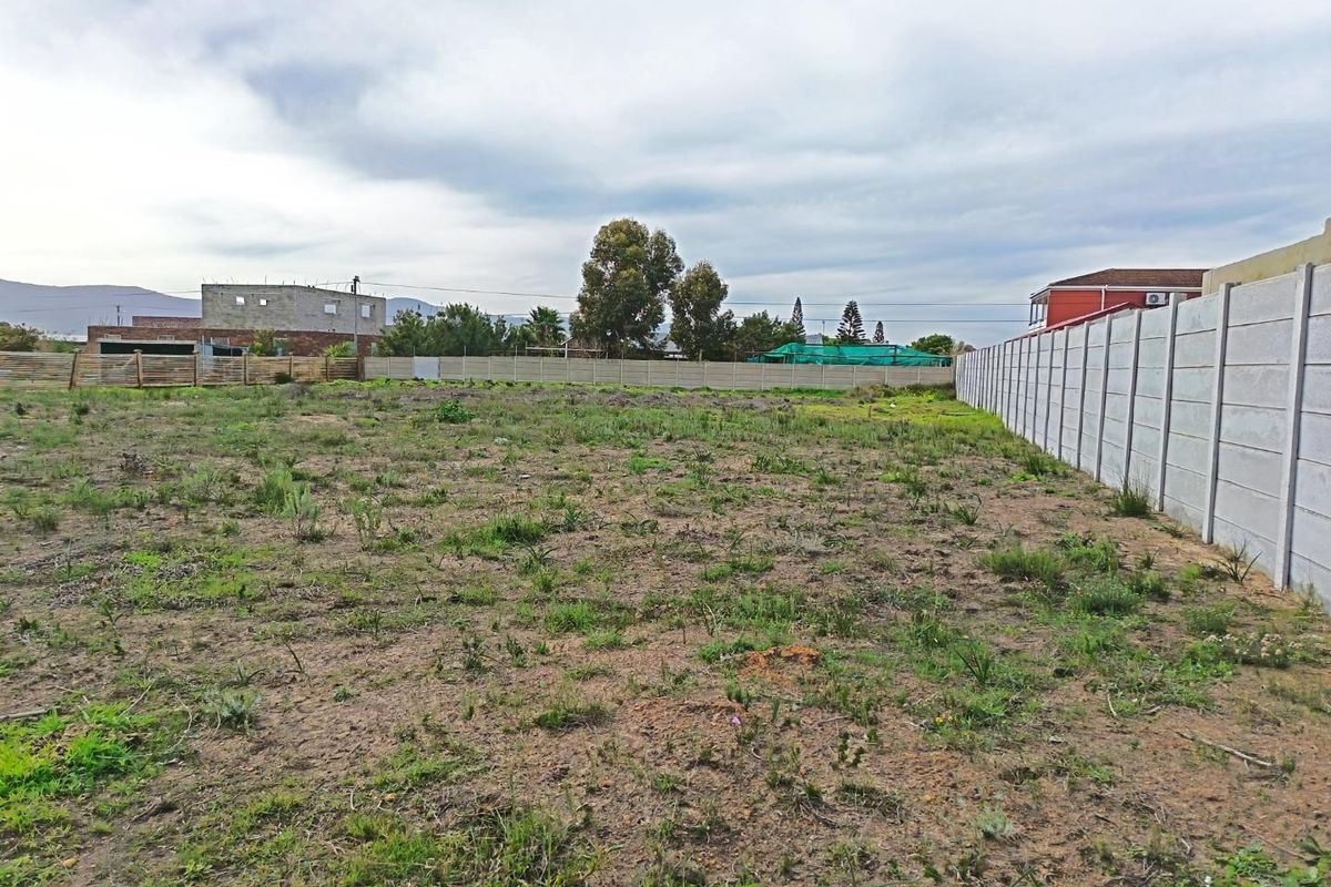 Two for the price of one - Photo 3