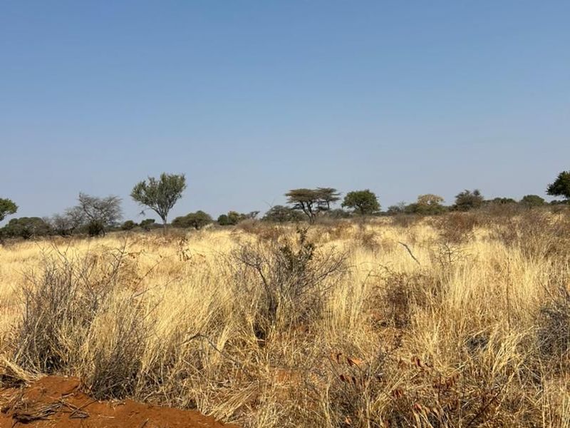 Phase 3 Omuramba Now selling! - Photo 5