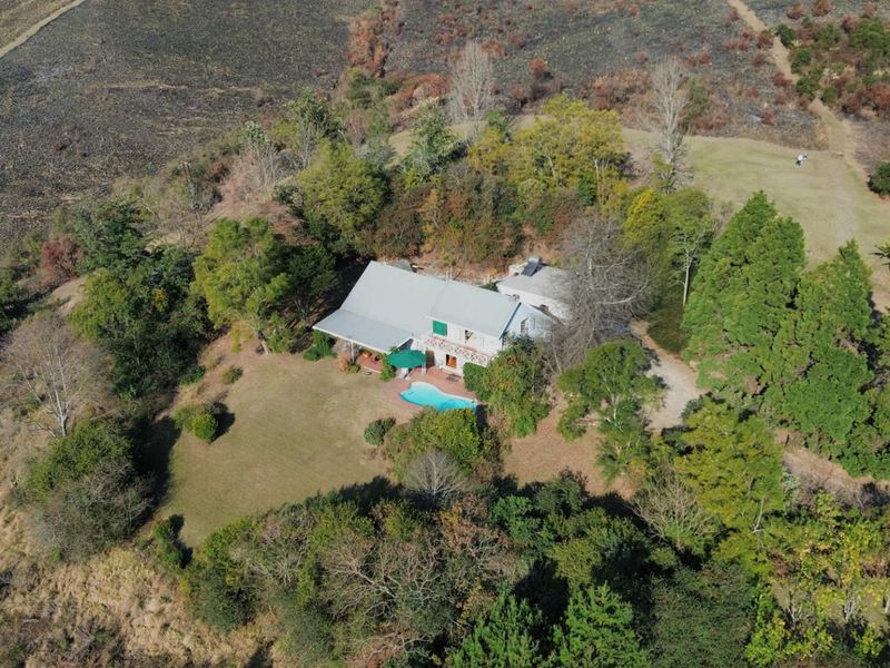 Exceptional Lifestyle Farm with Established Accommodation Business in Dargle - Photo 6