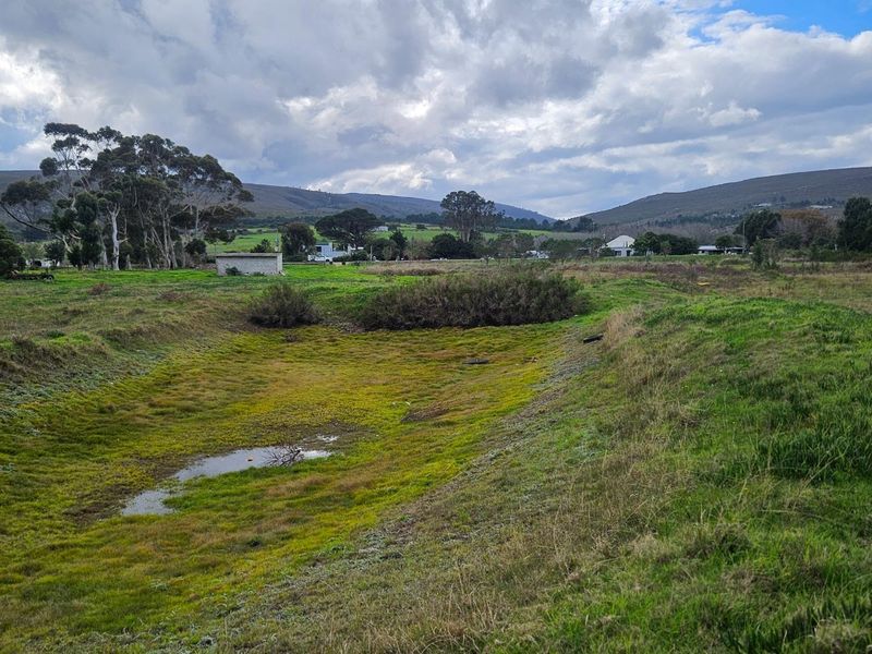 Expansive 10.97 Hectare Lifestyle Farm with Scenic Views - Photo 8