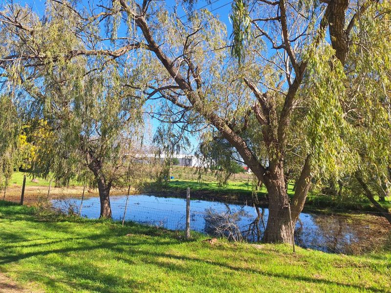 Somewhere Dreamy - Photo 4