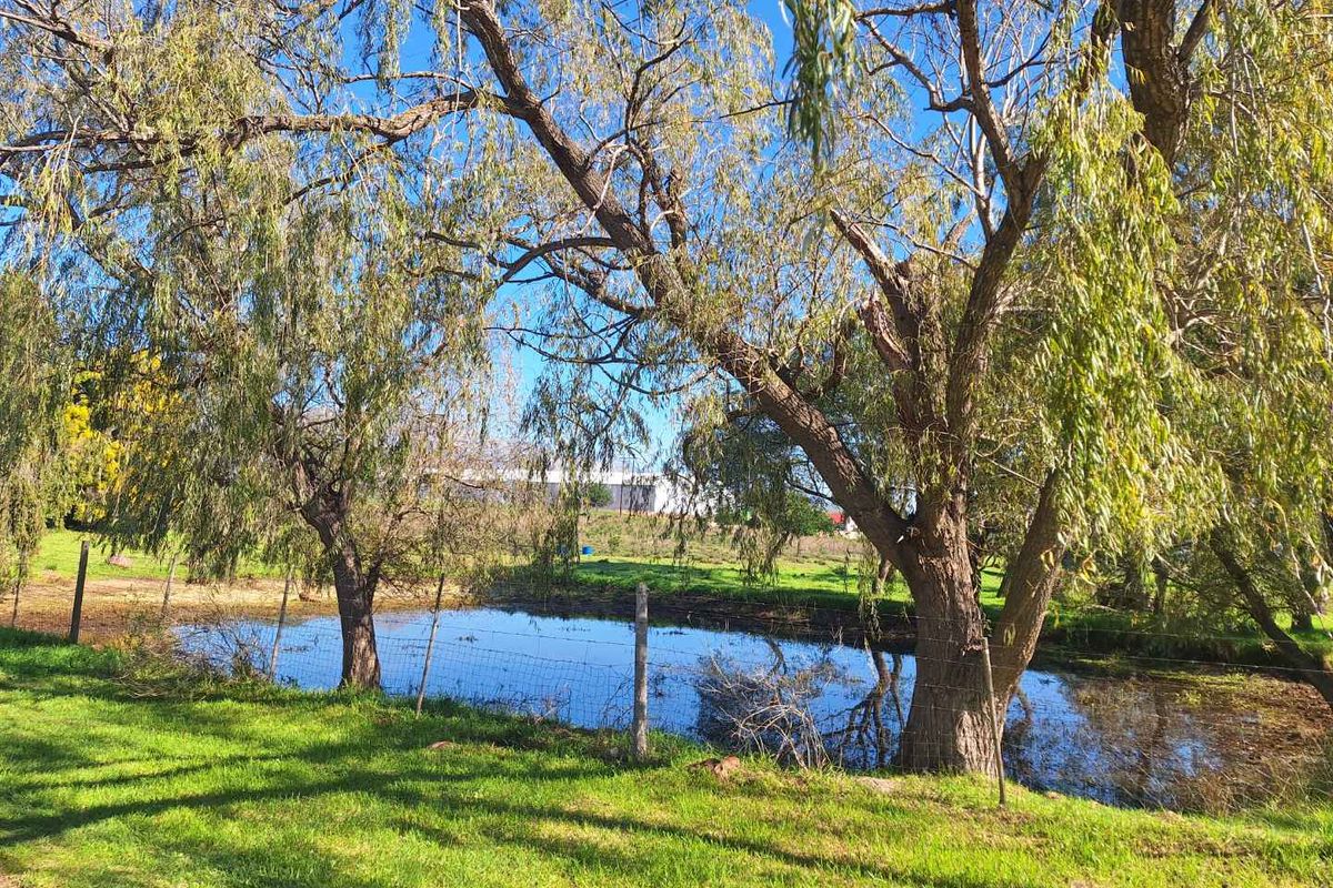 Somewhere Dreamy - Photo 4