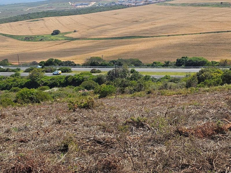 Plot & Plan options now selling in Hartland Lifestyle Estate - Photo 5