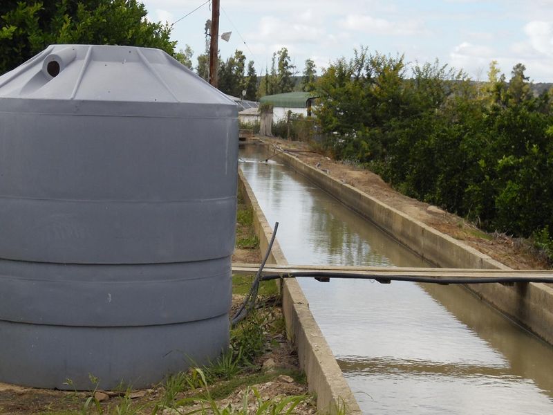 Sunland - 6.99 ha Citrus - Farm for sale - 2 Houses - Photo 7