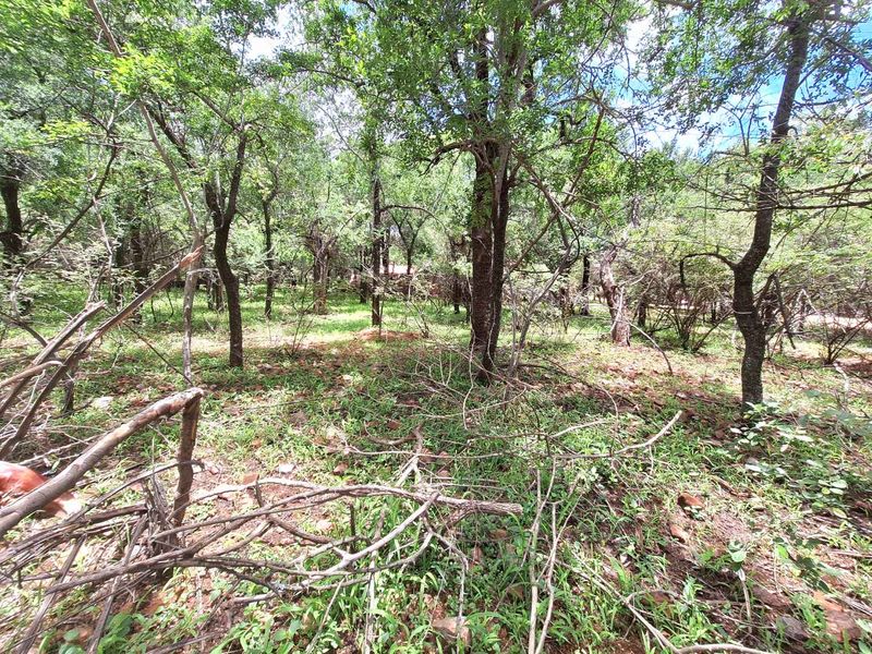 Tranquil Corner Stand - Prime Location - Photo 7